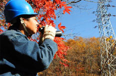 送電檢修班工人呂清森:執(zhí)著的堅(jiān)守