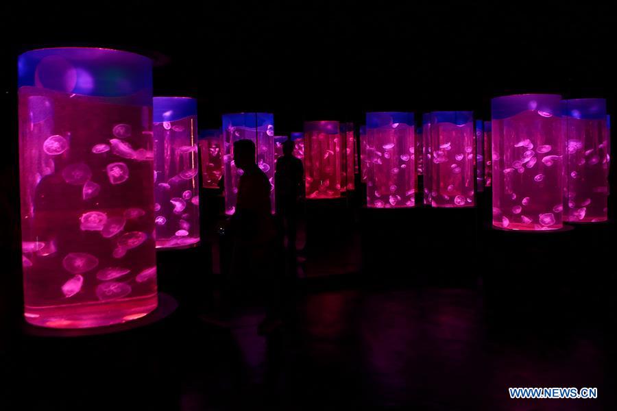 PHILIPPINES-MANILA-OCEAN PARK