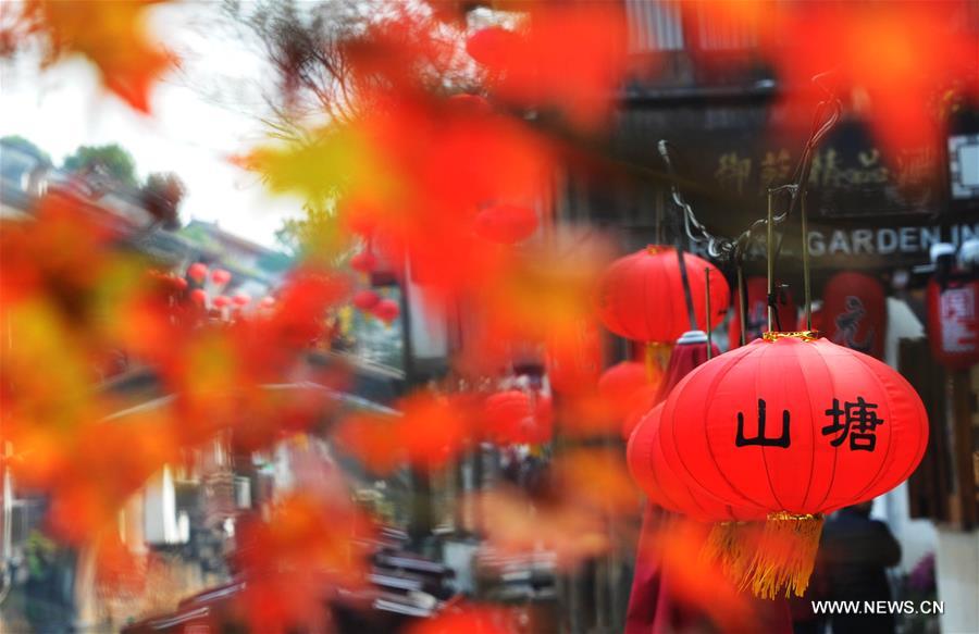 CHINA-SUZHOU-AUTUMN LEAVES (CN)