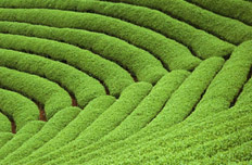 土壤修復將開啟萬億投資規模