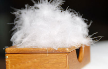 幾塊錢的“下腳料”冒充羽絨