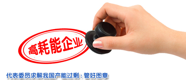 遏制"圖章下的浪費"——代表委員求解我國產能過剩困局