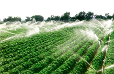 【4月3日】部署現代農業配套改革試驗工作