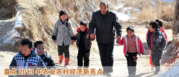 盤點2013年農(nóng)業(yè)農(nóng)村經(jīng)濟新亮點