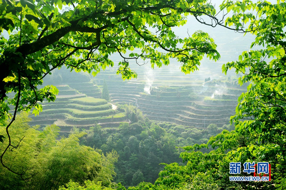 詩(shī)畫(huà)小舟山