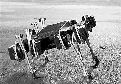 可愛機(jī)器人 體型靈巧如小狗 能開門翻圍墻