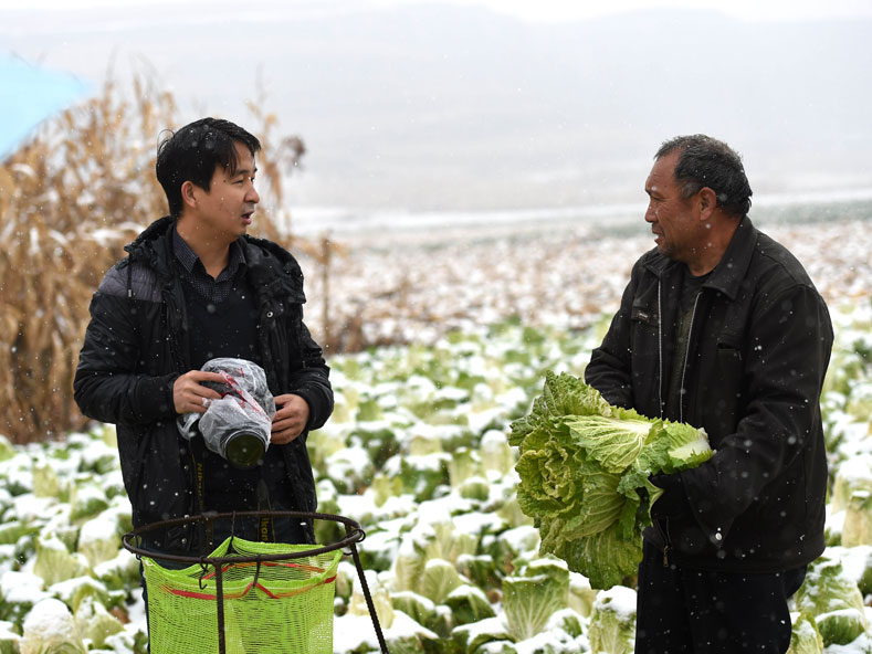 新華社山西分社燕雁:心中有愛 腳下是根