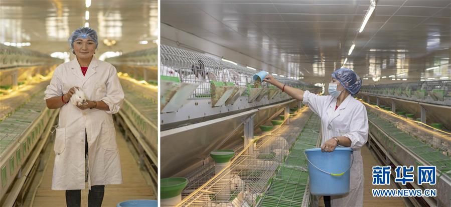 （脫貧攻堅·圖片故事）（2）脫貧靠雙手——新疆和田地區(qū)未摘帽縣就業(yè)見聞