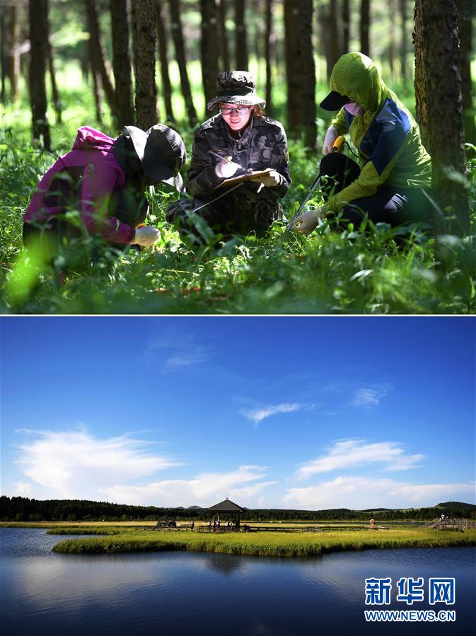 (十九大·讀報告 話民生)(6)加快生態(tài)文明體制改革,建設(shè)美麗中國