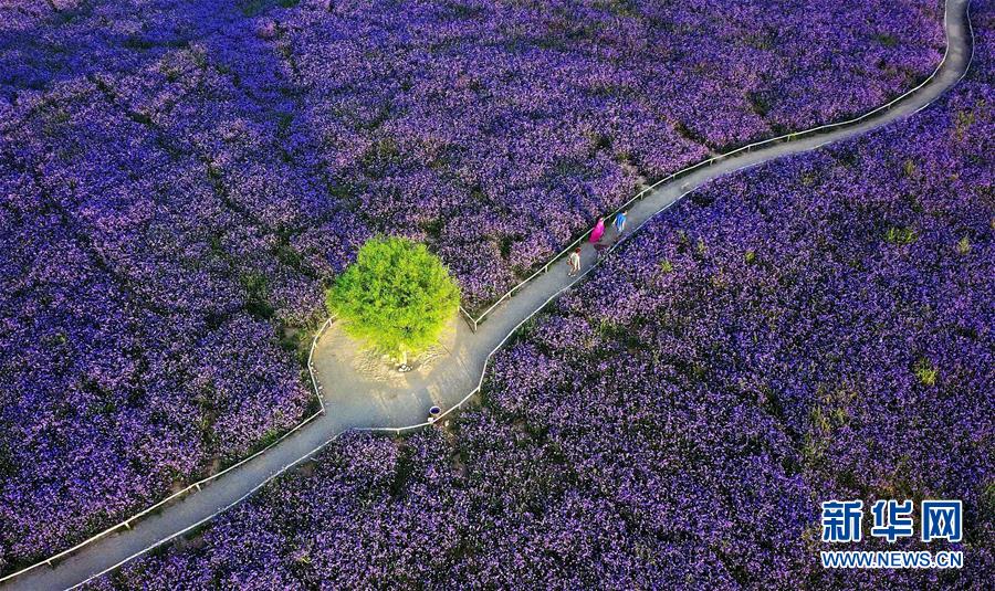 （十九大&middot;讀報告 話民生）（7）加快生態文明體制改革，建設美麗中國