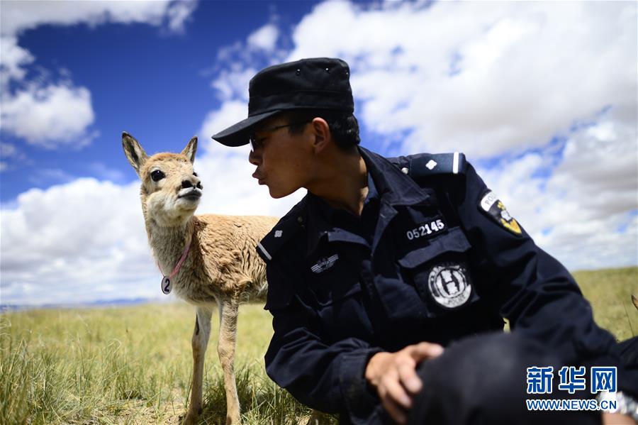 （十九大&middot;讀報告 話民生）（8）加快生態文明體制改革，建設美麗中國