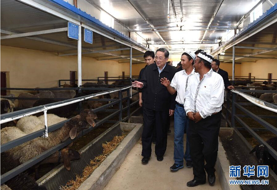 9月27日，中共中央政治局常委、全國政協主席、中央代表團團長俞正聲率中央代表團部分成員赴喀什地區莎車縣看望各族干部群眾。這是俞正聲在新疆生產建設兵團第三師莎車農場實地察看萬只羊養殖基地。新華社記者 饒愛民 攝