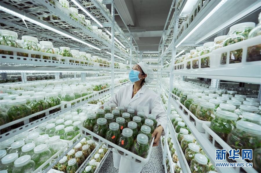 (新華全媒頭條·兩會精神看落實·圖文互動)(1)適應發展新方位 奮進決勝長征路