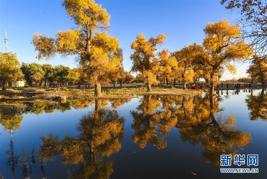 （壯闊東方潮 奮進(jìn)新時(shí)代&mdash;&mdash;慶祝改革開(kāi)放40年）（14）美麗中華大地書(shū)寫(xiě)綠色傳奇