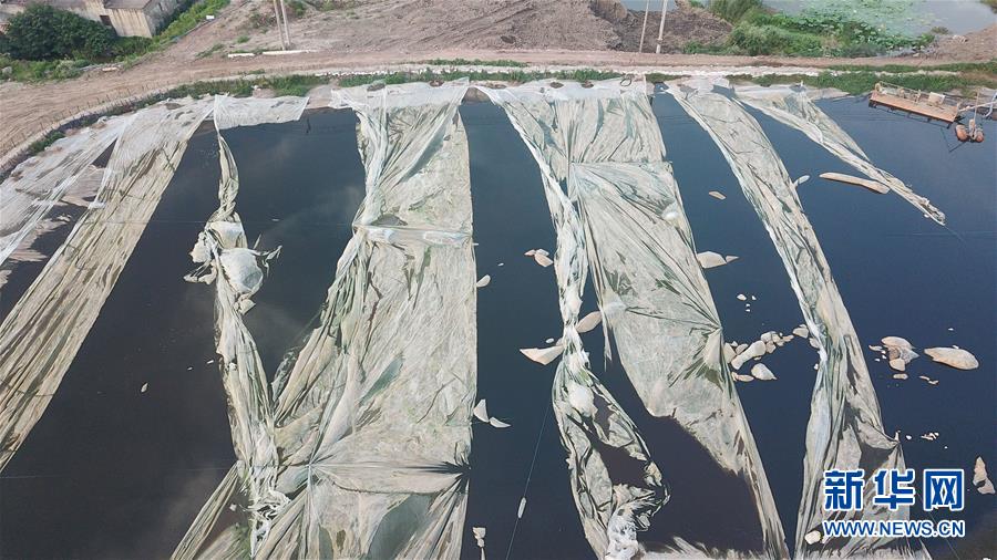 （新華視點(diǎn)&middot;圖文互動(dòng)）（4）中央督察兩年有的絲毫未改，有的不減反增&mdash;&mdash;江蘇泰興數(shù)萬(wàn)噸化工廢料和污泥堆放長(zhǎng)江邊調(diào)查