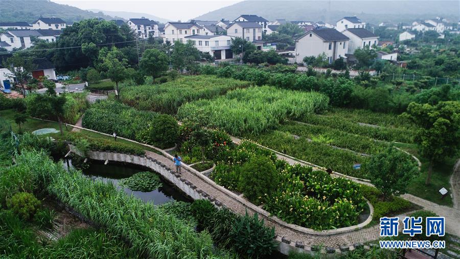 （在習近平新時代中國特色社會主義思想指引下&mdash;&mdash;新時代新作為新篇章&middot;圖文互動）（1）稀奇！治污濕地成了休閑公園&mdash;&mdash;江蘇蘇州全域推進農(nóng)村生活污水治理