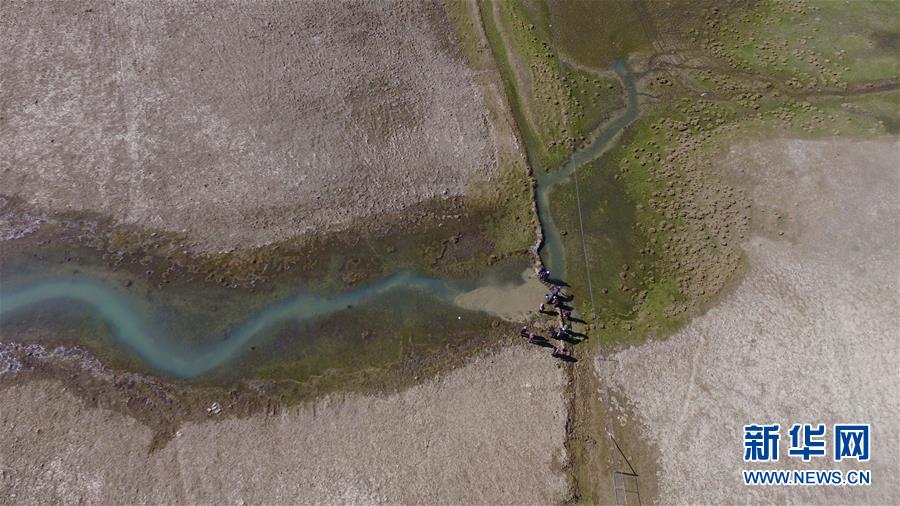 （環境）（6）白皮書：青藏高原地區仍然是地球上最潔凈的地區之一