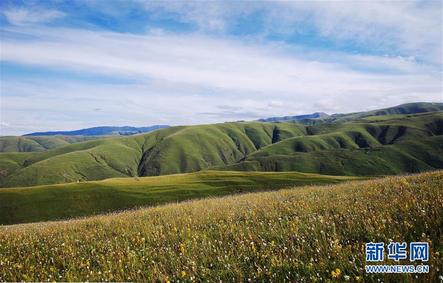 （環境）（7）白皮書：青藏高原地區仍然是地球上最潔凈的地區之一