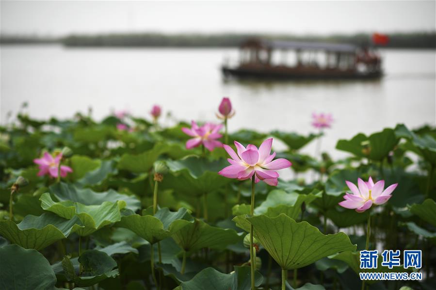 （寧夏60年）（6）&ldquo;塞上湖城&rdquo;波光滟