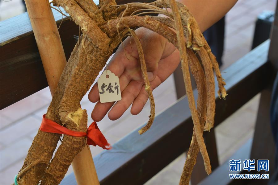 （在習(xí)近平新時(shí)代中國特色社會(huì)主義思想指引下&mdash;&mdash;新時(shí)代新作為新篇章&middot;圖文互動(dòng)）（2）庫布其競相演繹&ldquo;點(diǎn)沙成金&rdquo;傳奇