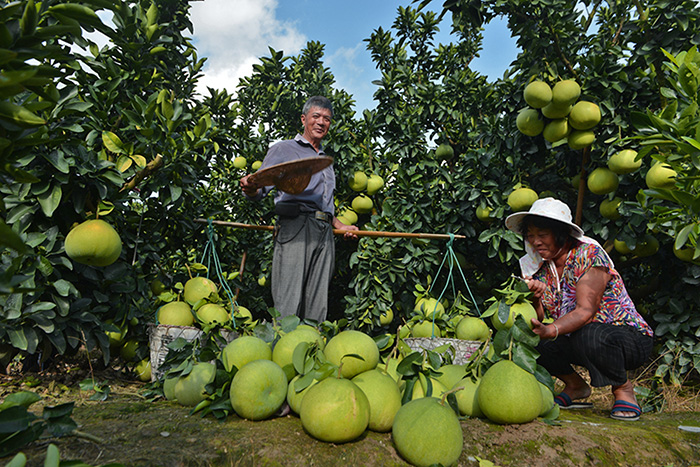 秋收的中國，你想象不到的美！但更美的是&hellip;&hellip;