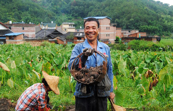 秋收的中國，你想象不到的美！但更美的是&hellip;&hellip;