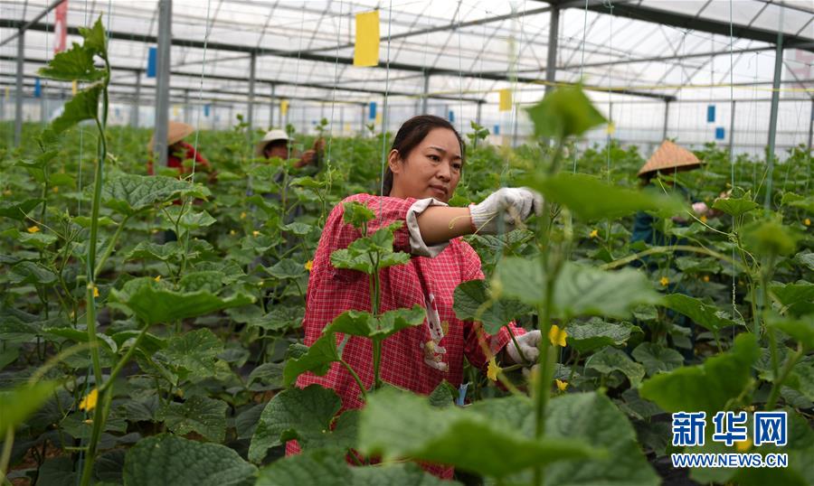 （新華全媒頭條&middot;圖文互動）（11）心中有夢想，腳下就有力量&mdash;&mdash;寫在&ldquo;中國夢&rdquo;提出六周年之際