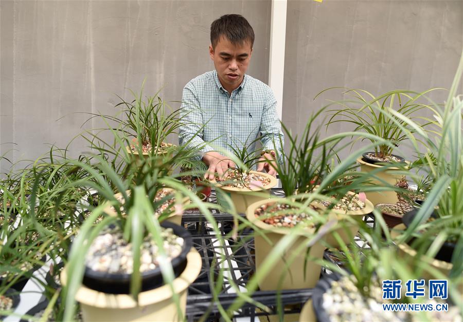 (圖文互動)(6)建設好生態宜居的美麗鄉村——從“千萬工程”看習近平生態文明思想的生動實踐和世界回響