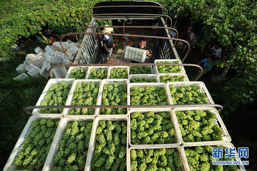 （兩會前夕看落實&middot;圖文互動）（7）決戰脫貧攻堅 奮力后發趕超&mdash;&mdash;貴州落實習近平總書記全國兩會重要講話精神紀實