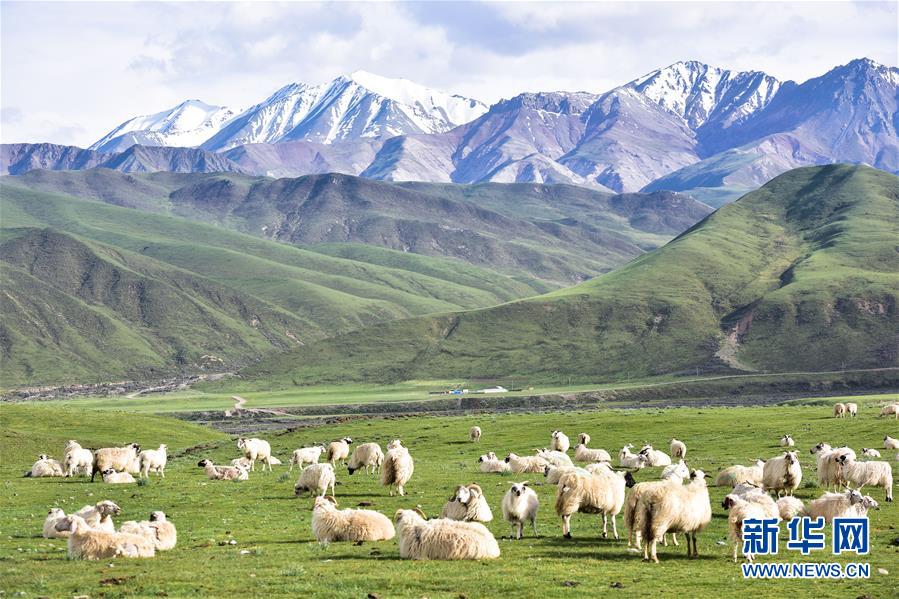 （兩會前夕看落實&middot;圖文互動）（1）以&ldquo;一優(yōu)兩高&rdquo;戰(zhàn)略描繪三江源壯美畫卷&mdash;&mdash;青海落實習(xí)近平總書記全國兩會重要講話精神紀(jì)實