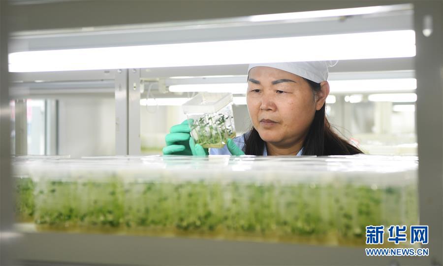 （兩會前夕看落實(shí)&middot;圖文互動）（5）春風(fēng)涌動兩江潮&mdash;&mdash;重慶落實(shí)習(xí)近平總書記全國兩會重要講話精神紀(jì)實(shí)