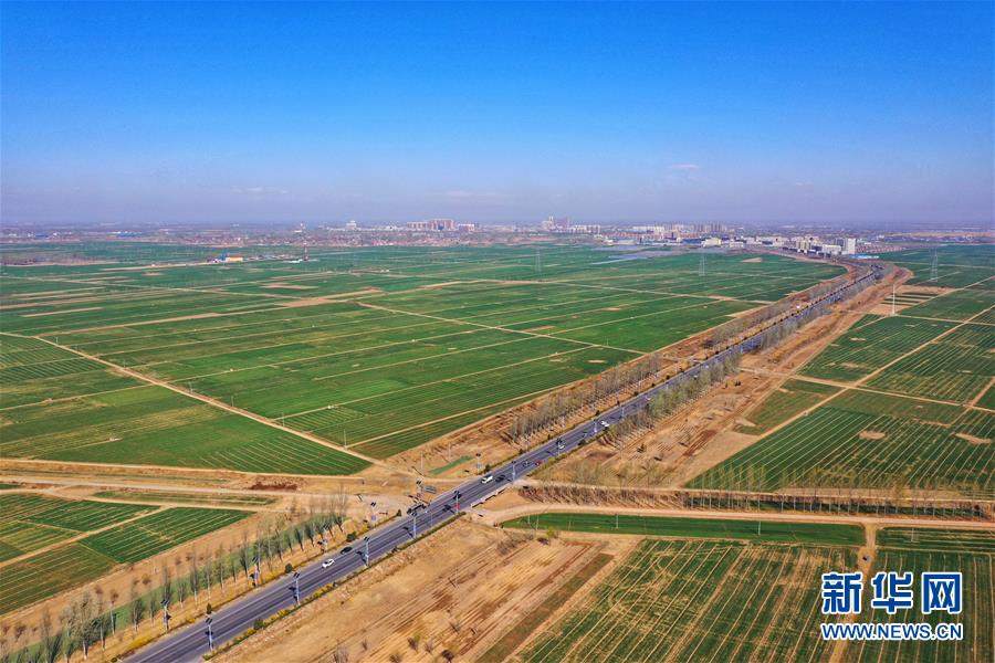 （新華全媒頭條&middot;圖文互動）（2）奮進，向著未來之城！&mdash;&mdash;河北雄安新區(qū)建設發(fā)展兩周年紀實