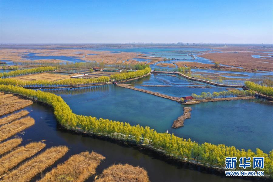 （新華全媒頭條&middot;圖文互動）（5）奮進，向著未來之城！&mdash;&mdash;河北雄安新區(qū)建設發(fā)展兩周年紀實