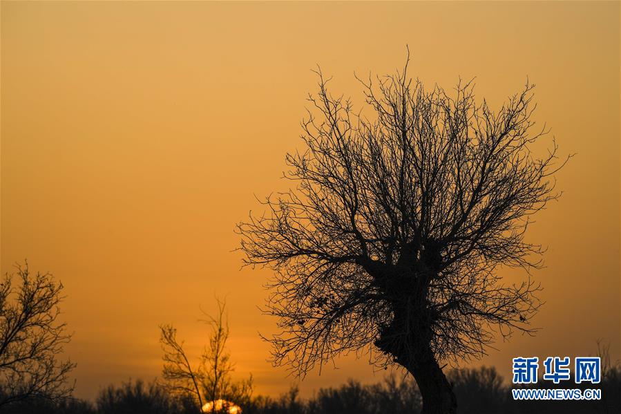 （新華全媒頭條&middot;圖文互動(dòng)）（2）一步千年，&ldquo;最后的沙漠部落&rdquo;遷入新家園