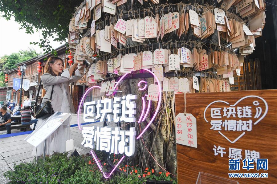 （新華全媒頭條&middot;圖文互動）（9）從&ldquo;數字中國&rdquo;看中國發展新信號、新亮點、新趨勢