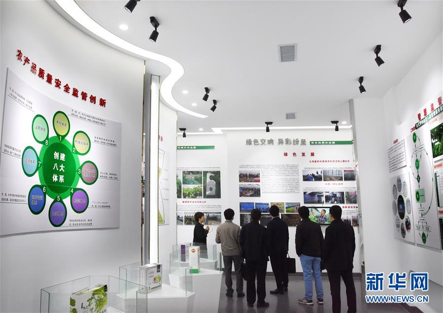 （壯麗70年&middot;奮斗新時代&middot;圖文互動）（5）山東壽光：一棵&ldquo;菜&rdquo;興一座城 