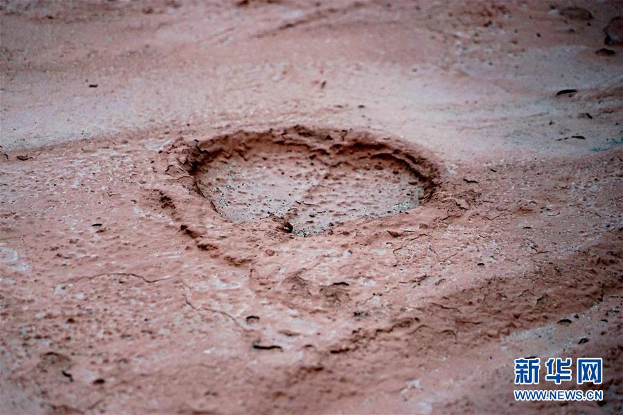 （新華全媒頭條&middot;圖文互動）（8）&ldquo;若問古今興廢事，請君只看洛陽城&rdquo;&mdash;&mdash;千年古都&ldquo;烹制&rdquo;博物館盛宴