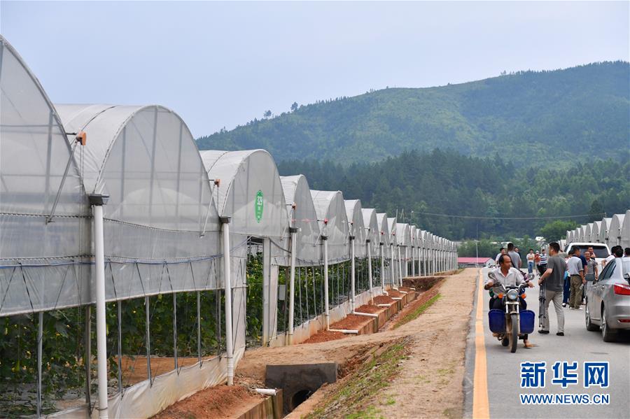 (新華全媒頭條·圖文互動)(6)奮力走好新時代的長征路——習近平總書記考察江西回訪記
