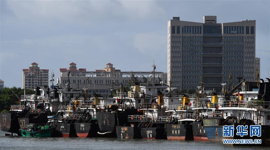 （社會）（1）?？冢捍盎馗郾芘_風