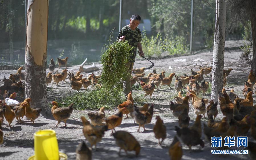 （新華全媒頭條&middot;圖文互動）（6）同心援疆，&ldquo;壯闊&rdquo;祖國西北角