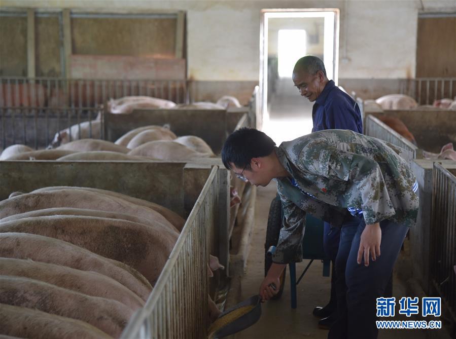 (新華全媒頭條·圖文互動)(2)咱們村里的年輕人——記奮戰在貴州脫貧攻堅一線的青年