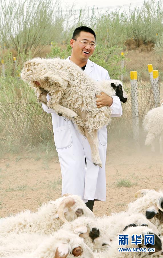 （壯麗70年&middot;奮斗新時代&mdash;&mdash;共和國發(fā)展成就巡禮&middot;圖文互動）（3）生態(tài)美、百姓富&mdash;&mdash;品讀嶄新&ldquo;寧夏畫卷&rdquo;