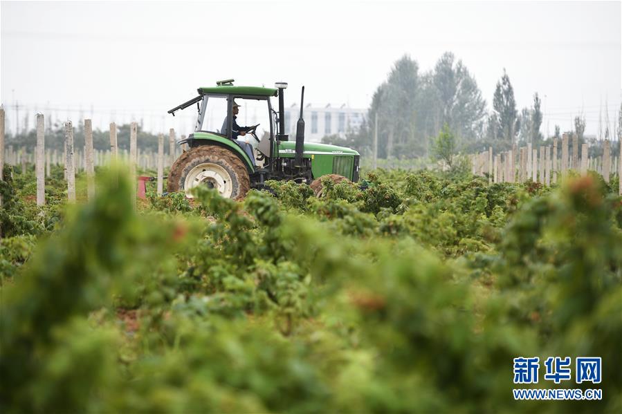 （壯麗70年&middot;奮斗新時代&mdash;&mdash;共和國發(fā)展成就巡禮&middot;圖文互動）（10）生態(tài)美、百姓富&mdash;&mdash;品讀嶄新&ldquo;寧夏畫卷&rdquo;