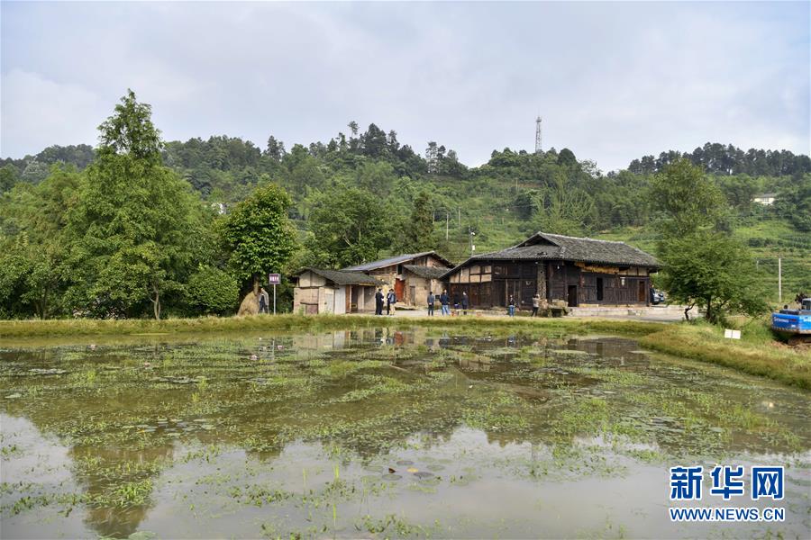（來自一線的調查報告&middot;圖文互動）（2）利益聯結強產業　打通城鄉促振興&mdash;&mdash;重慶涪陵大順鄉鄉村振興觀察