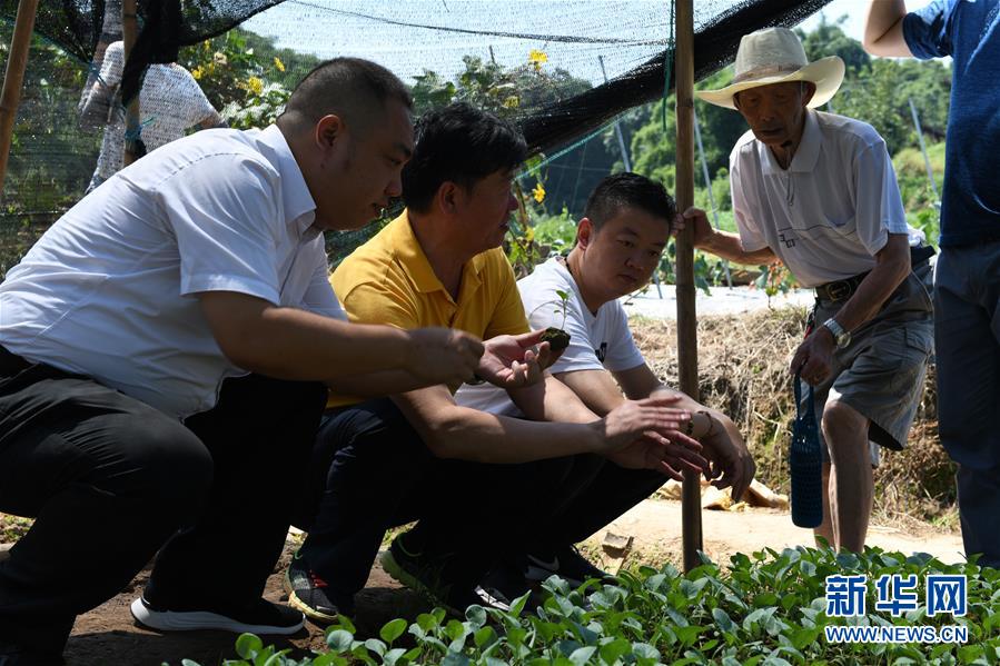 (圖文互動(dòng))(3)烏蒙山區(qū)扶貧第一書記背后的“老監(jiān)工”