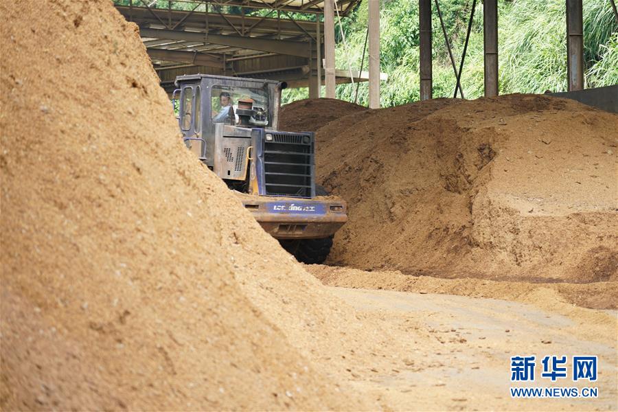 （在習(xí)近平新時代中國特色社會主義思想指引下&mdash;&mdash;新時代新作為新篇章&middot;總書記關(guān)心的百姓身邊事&middot;圖文互動）（4）大污染變身&ldquo;大寶藏&rdquo;：治理畜禽糞污，他們這樣干！