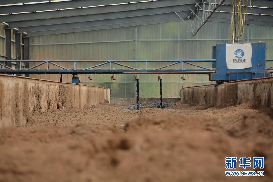 （在習(xí)近平新時代中國特色社會主義思想指引下&mdash;&mdash;新時代新作為新篇章&middot;總書記關(guān)心的百姓身邊事&middot;圖文互動）（5）大污染變身&ldquo;大寶藏&rdquo;：治理畜禽糞污，他們這樣干！