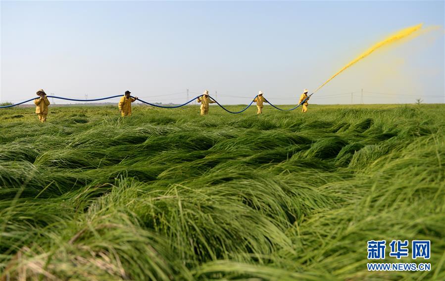 （紅土地&ldquo;往事新說&rdquo;&middot;圖文互動）（11）昔日送&ldquo;瘟神&rdquo;  今朝健康促小康