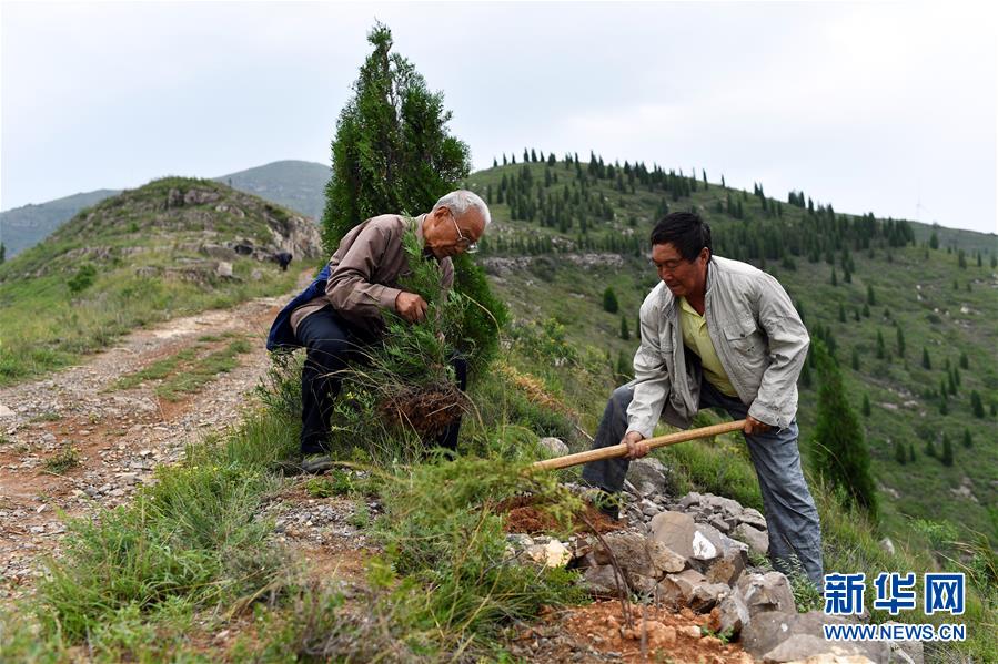 （圖文互動）（2）&ldquo;退休20年，咱就干了這么一件事&rdquo;&mdash;&mdash;記山西水利廳退休干部高文毓的&ldquo;綠山夢&rdquo;