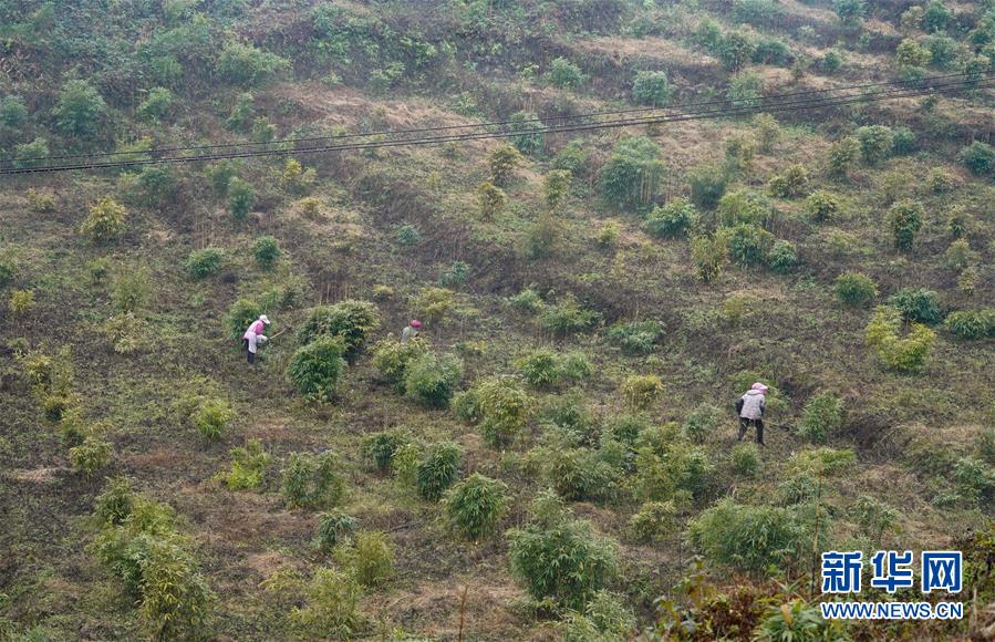 （新華全媒頭條&middot;圖文互動(dòng)）（12）烏蒙歡歌高鐵來(lái)&mdash;&mdash;寫(xiě)在成貴高鐵通車(chē)之際